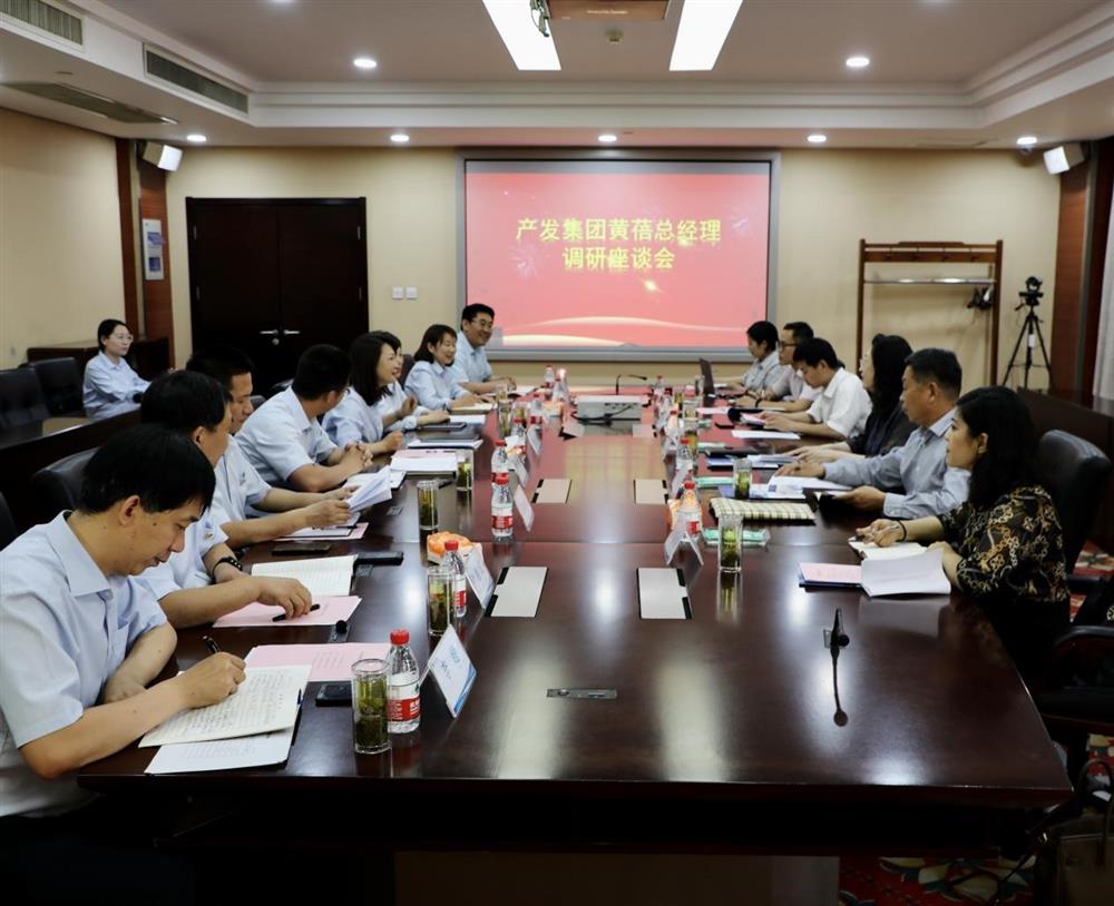 集團(tuán)黨委副書記、總經(jīng)理黃蓓帶隊(duì)調(diào)研濟(jì)南市工程咨詢院